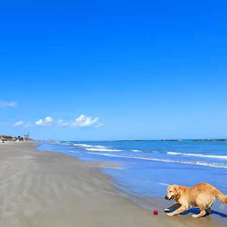 Promo- 100 Mt Dal Mare- Relax-wifi&ac Appartamento *